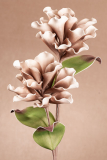 Kvet hned 87cm3-197BR