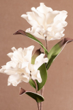 Kvet biela 87cm3-197W