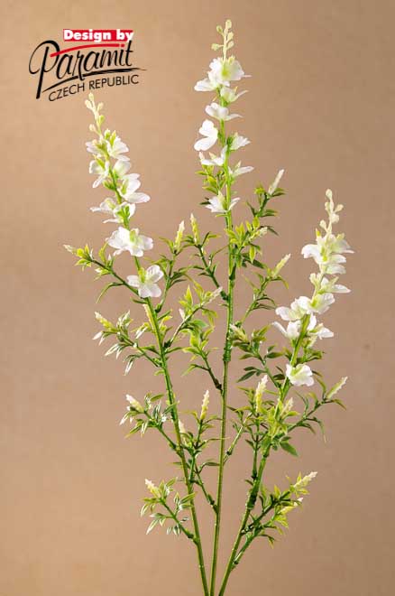 Wild Sweet 79cm biel F261-W