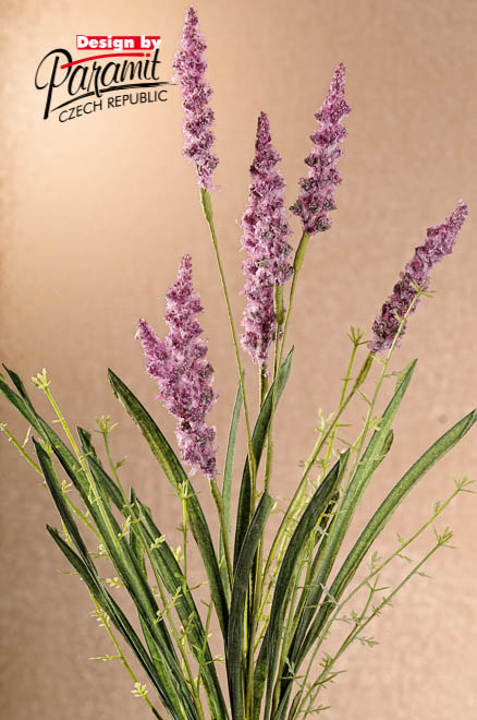 Levandula F111